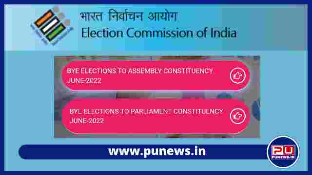 ECI Bye Election Result June 2022: Party Wise, Constituency wise All Candidates