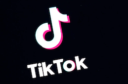 What is the TikTok Porcelain Challenge ?: is it real or fake?