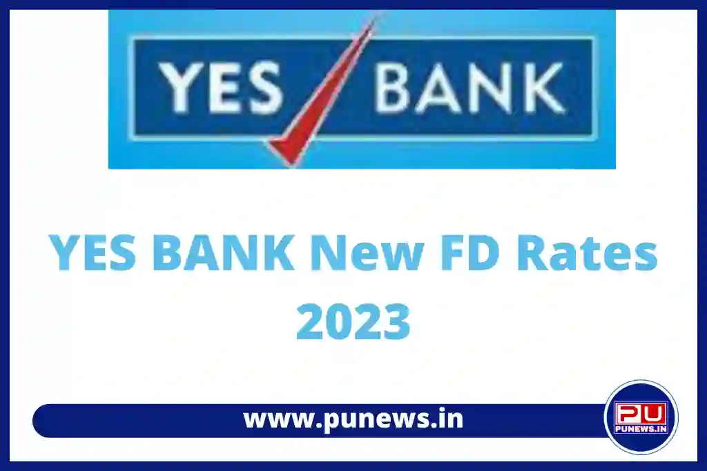 YES Bank FD Rates 2023,Yes Bank is giving 8.25% interest rate