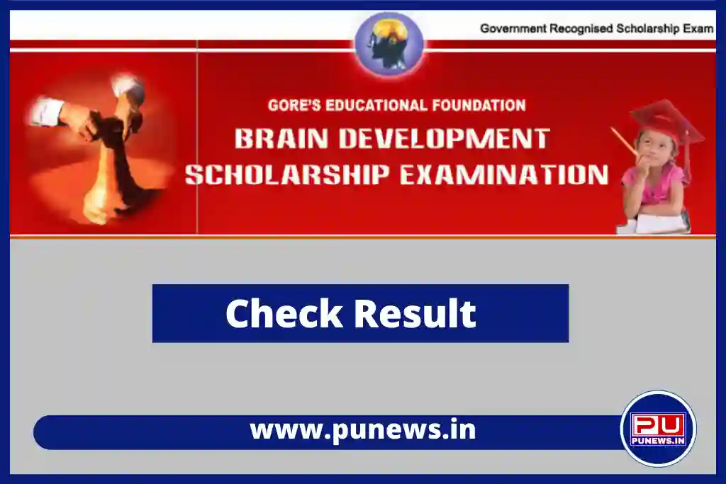 brain development scholarship exam result
