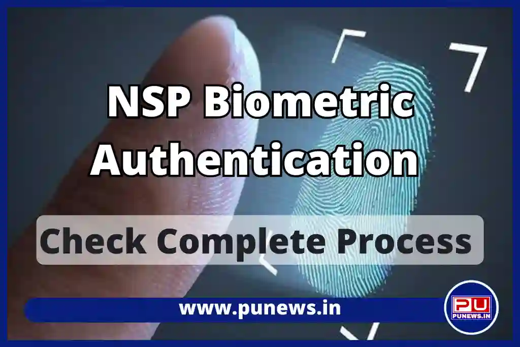 NSP Biometric Authentication: Complete Process