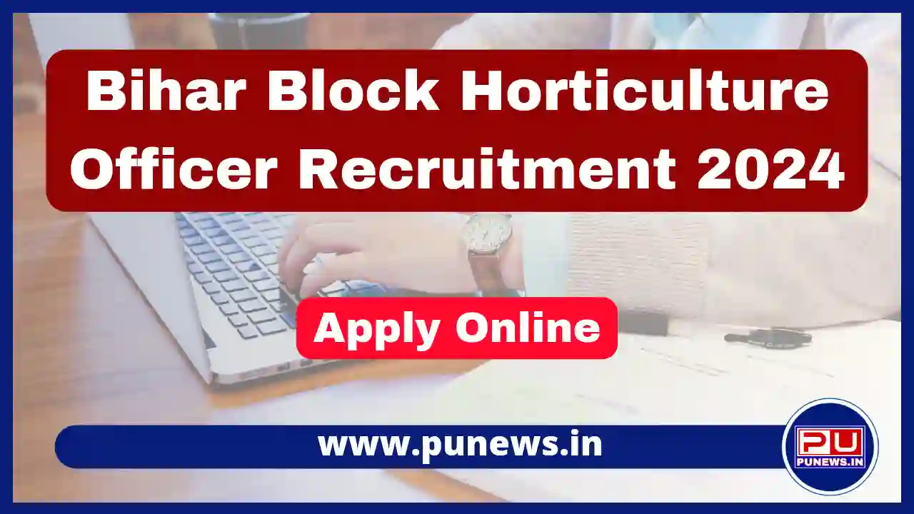 bihar block horticulture officer recruitment 2024